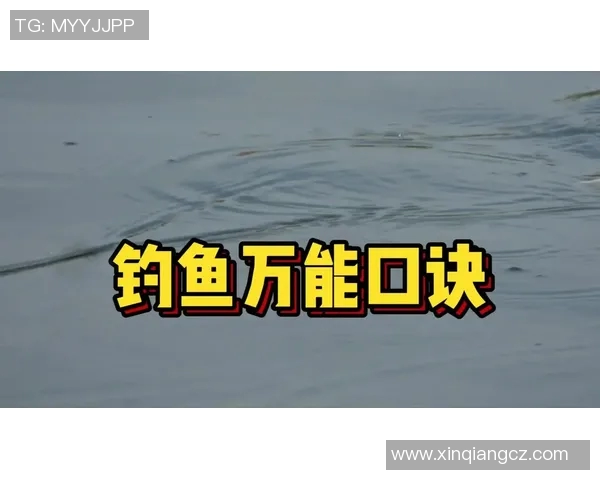 探寻渔具世界的奥秘与发展趋势，助你成为钓鱼达人必备装备全解析